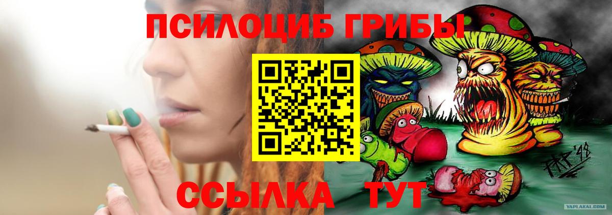Галлюциногенные грибы GOLDEN TEACHER Большой Камень